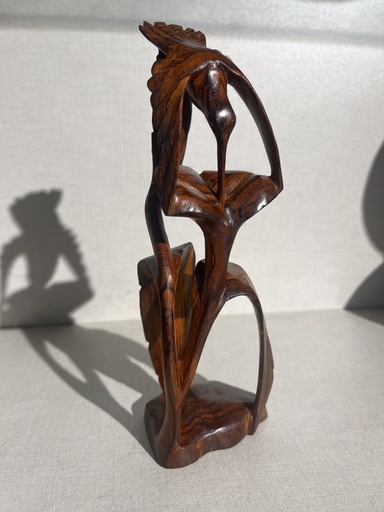 Cocobolo colibri y flor